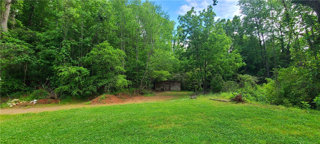 668 Mt Bethel Road Sunset, SC 29685 - Photo 3 of 13 Yard