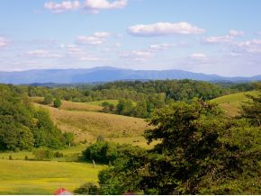 1795 Brown Springs Road Greeneville, TN 37743 - Photo 8 of 12 Photo 8