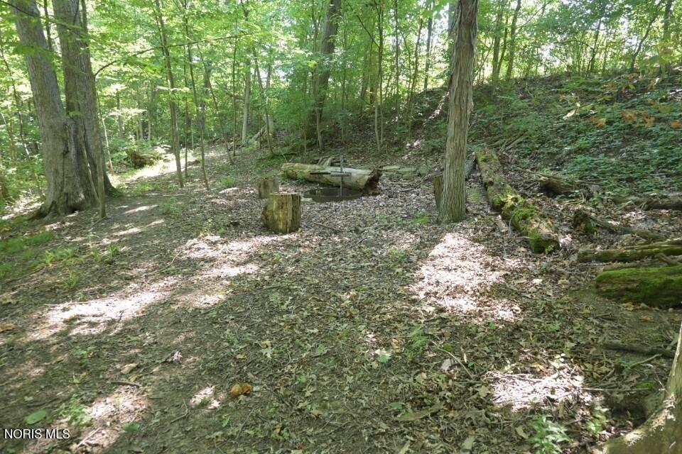 0 West River Road Grand Rapids, OH 43522 - Photo 18 of 22 Gallery Image 18