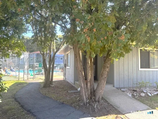 a view of a yard with plants and trees