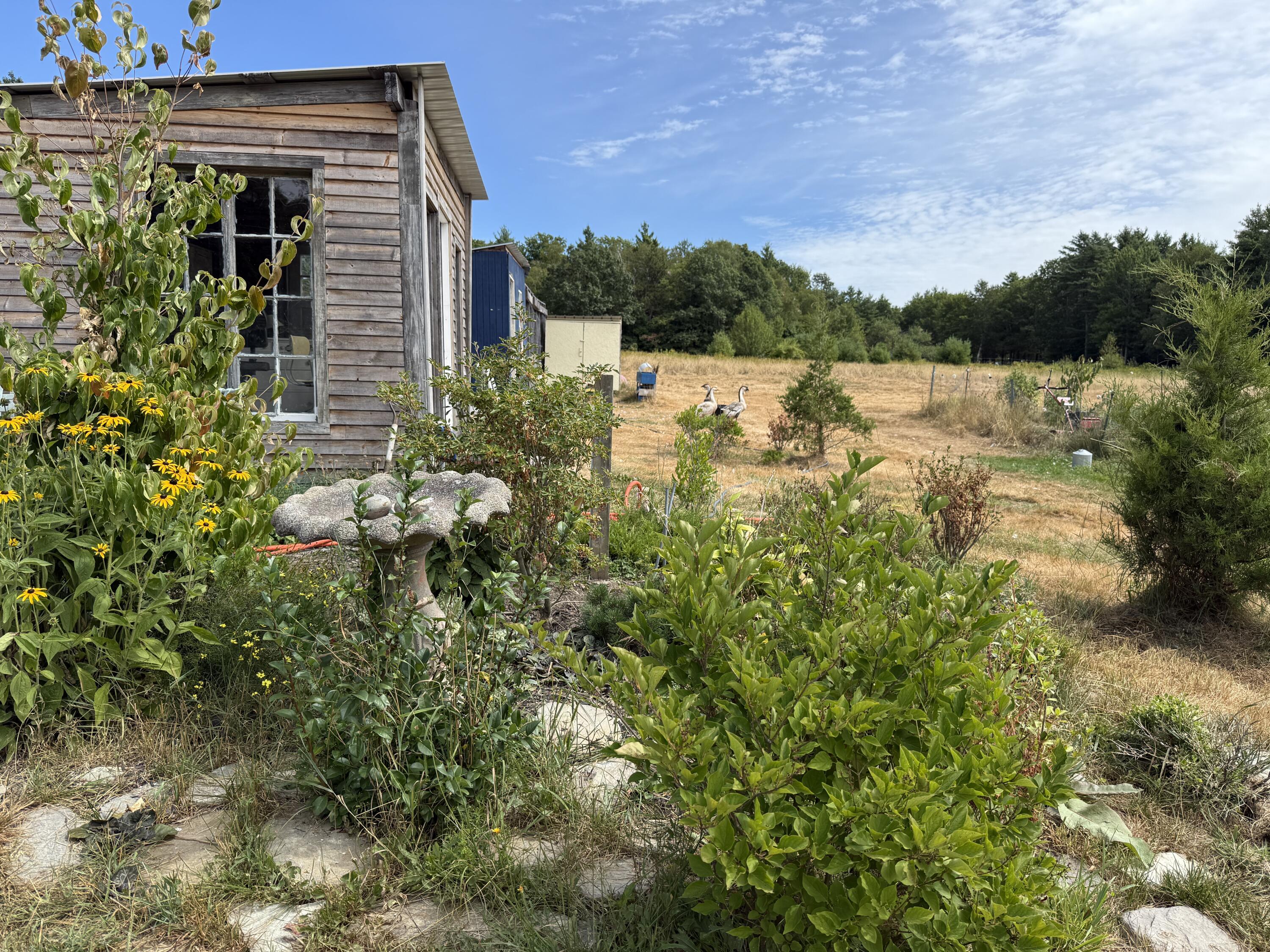 125 North Pond Road Rome, ME 04963 - Photo 36 of 64 IMG_3401