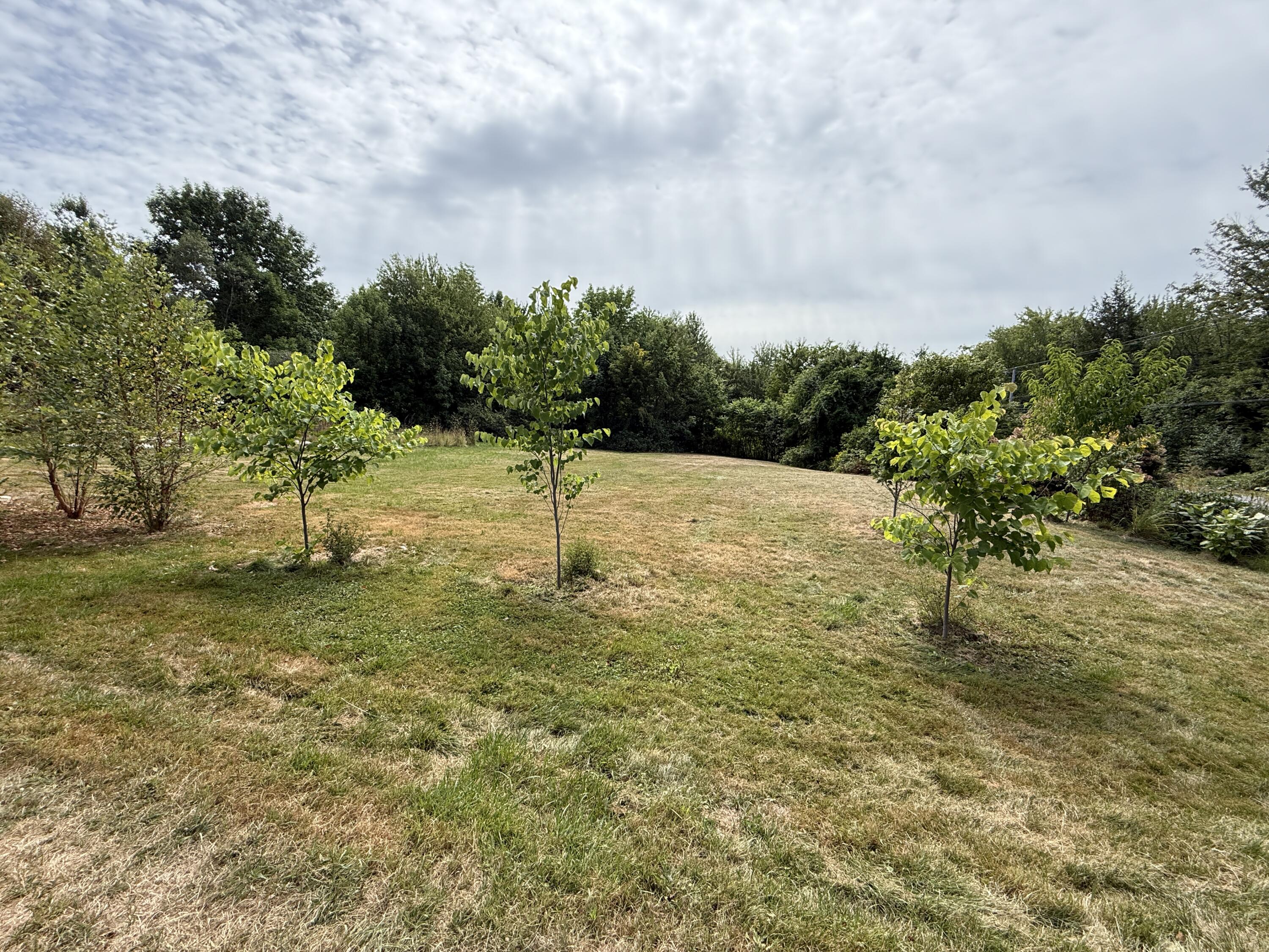 125 North Pond Road Rome, ME 04963 - Photo 38 of 64 IMG_3371