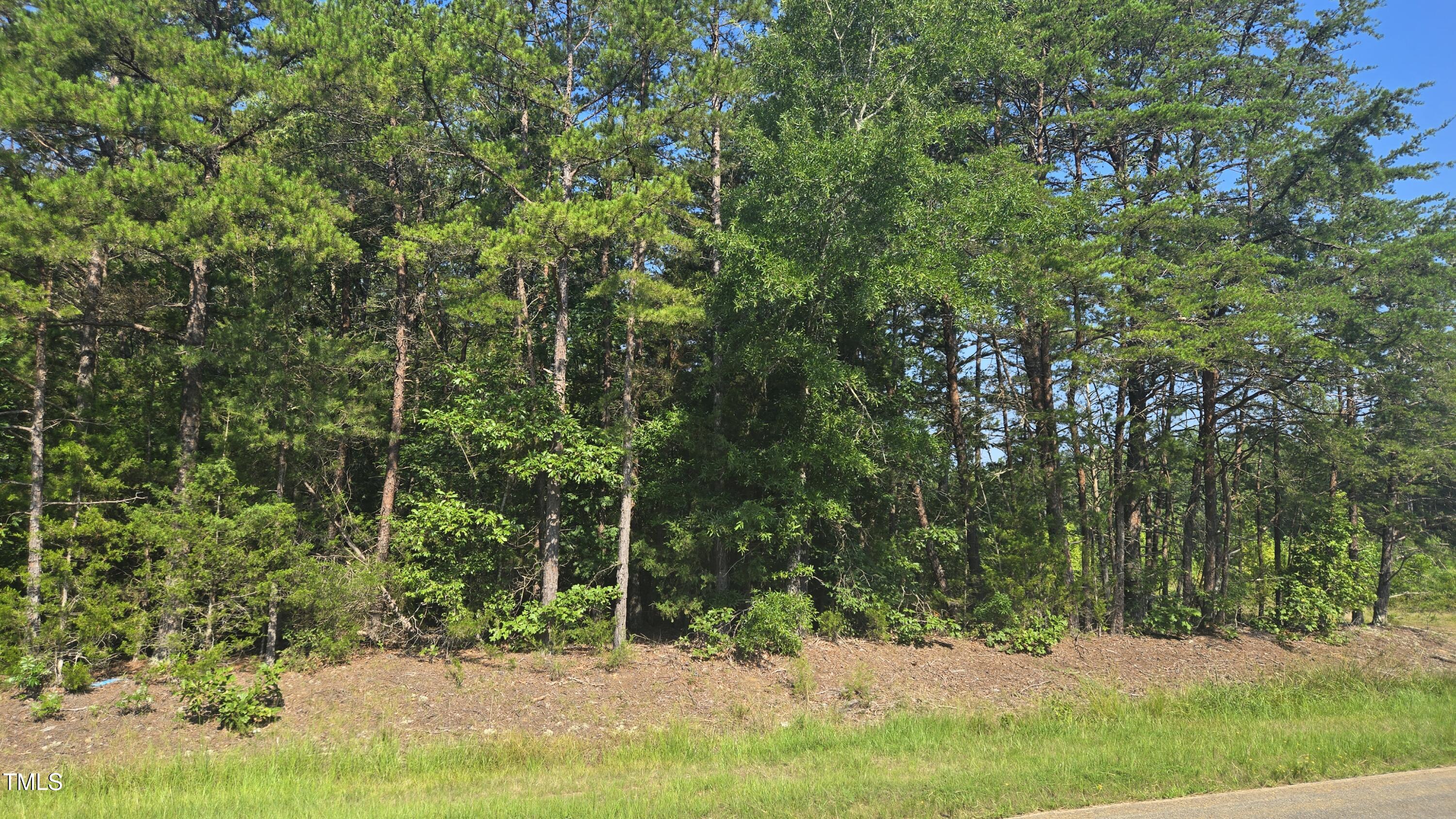 0 Robert Morgan Road Bullock, NC 27507 - Photo 2 of 11 20250708_095030