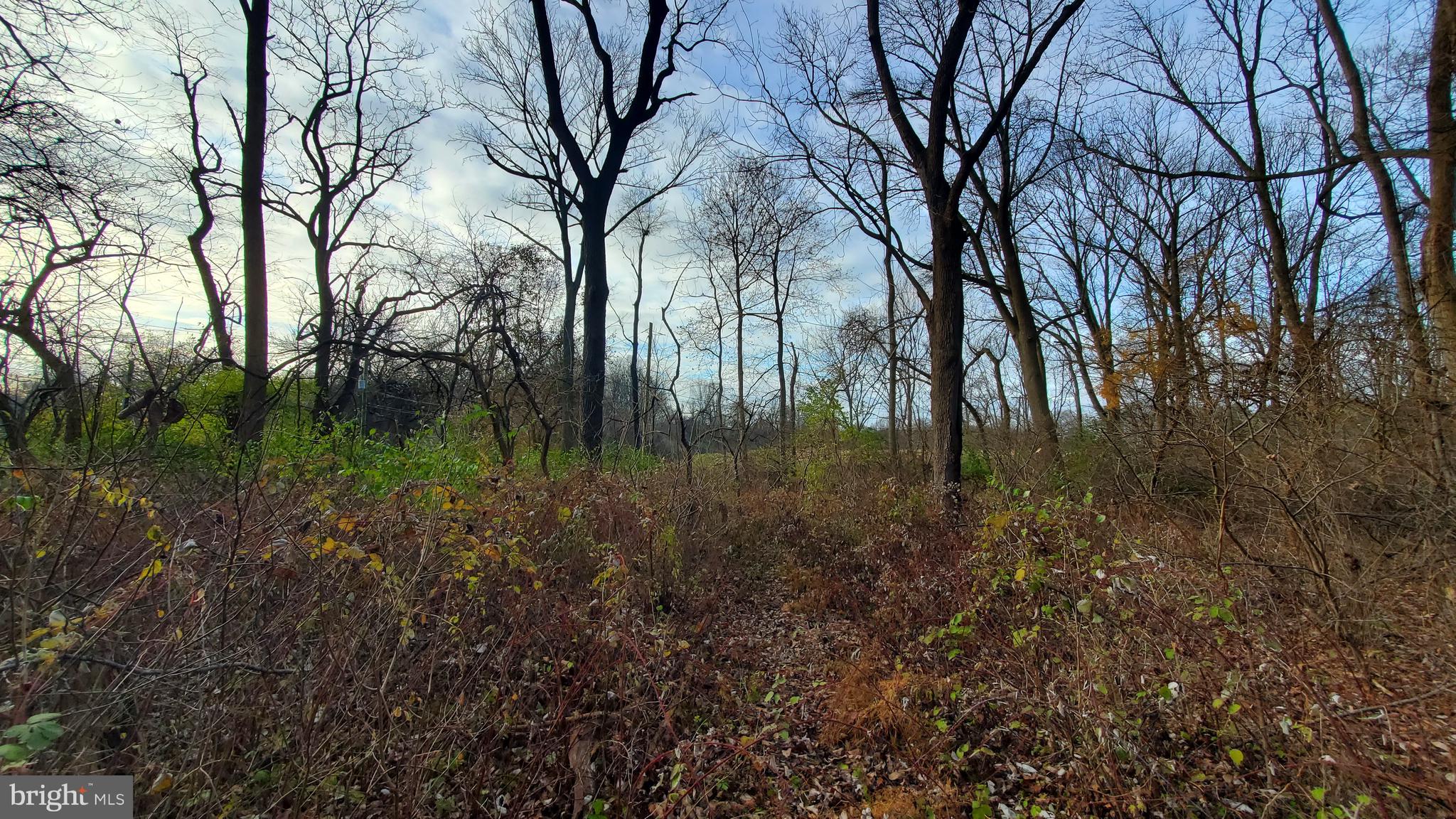 Lot #5 Corner Ketch Road Newark, DE 19711 - Photo 8 of 16 Facing South from around center of lot