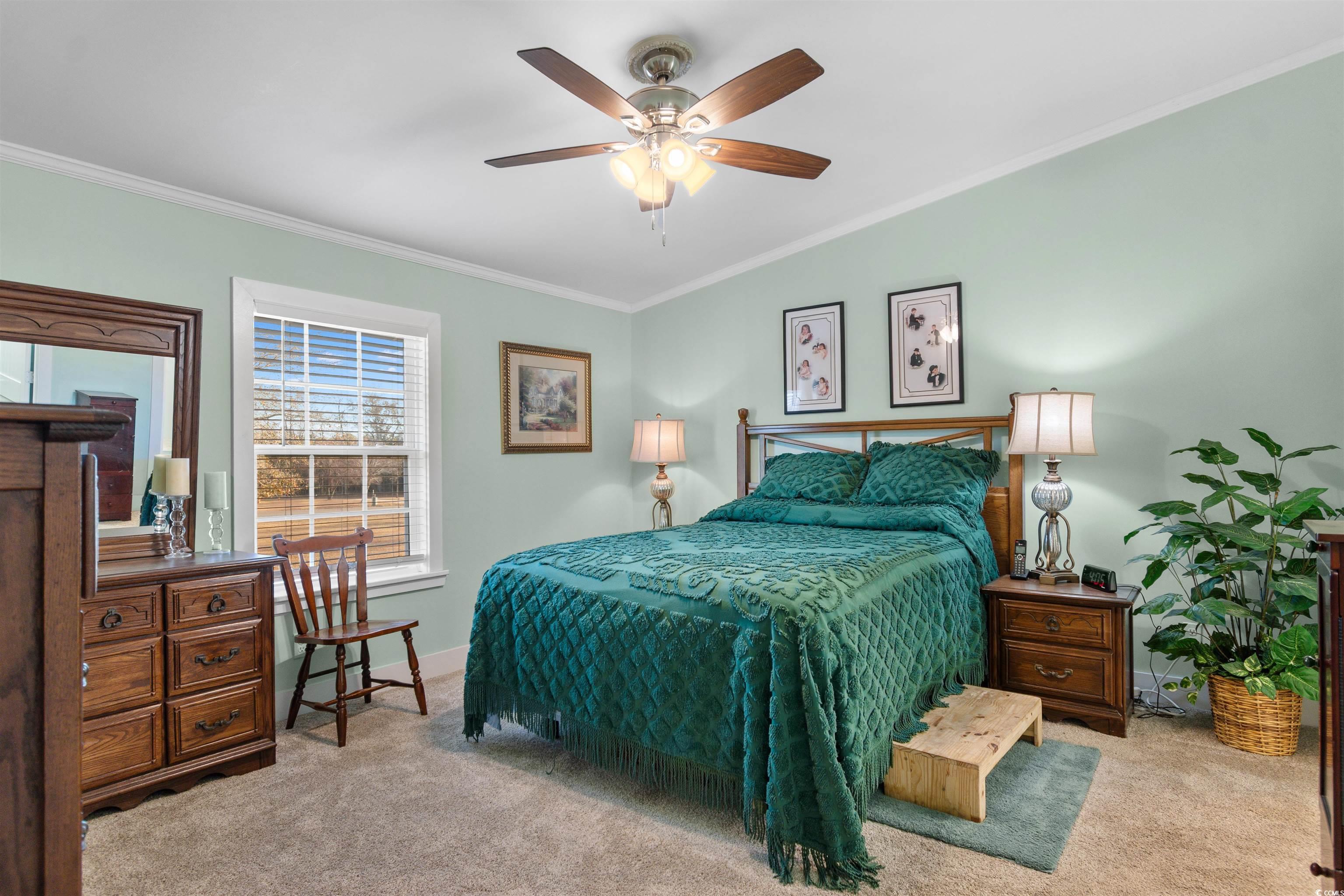 4065 Highway 66 Loris, SC 29569 - Photo 12 of 40 Bedroom featuring ornamental molding, light carpet, and a ceiling fan