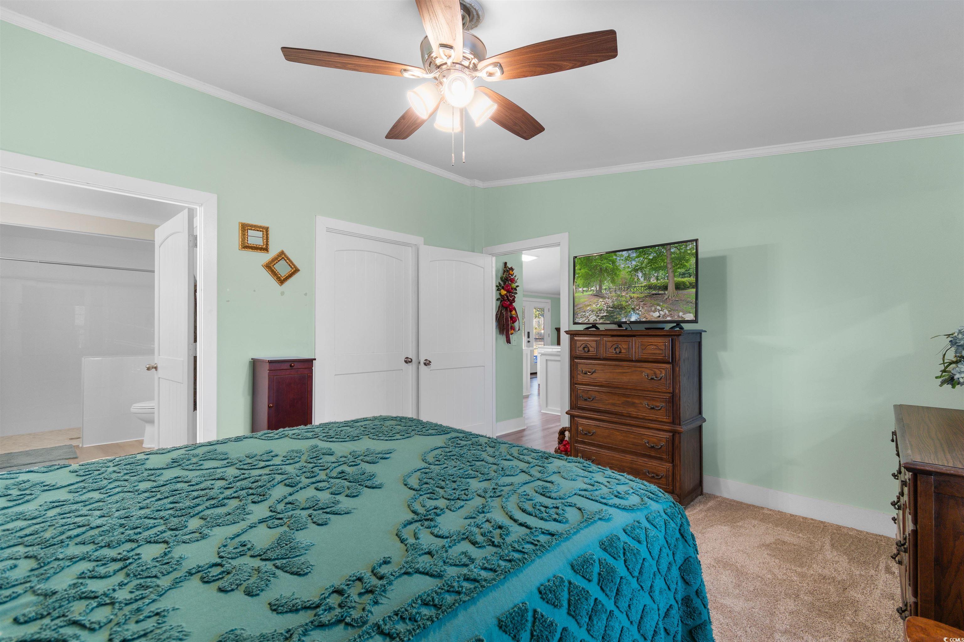 4065 Highway 66 Loris, SC 29569 - Photo 14 of 40 Bedroom featuring ornamental molding, light colored carpet, a ceiling fan, and ensuite bathroom