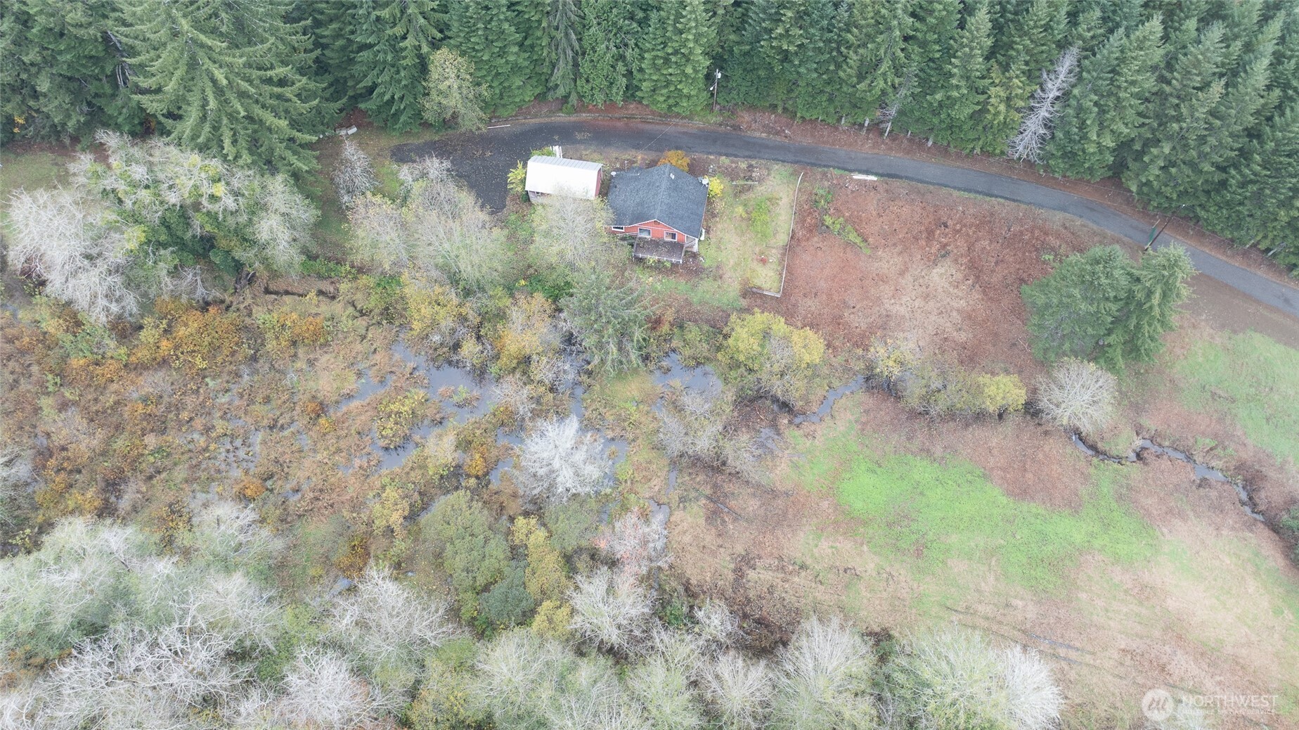 763 Geissler Road Montesano, WA 98563 - Photo 12 of 31 a view of a yard with a tree