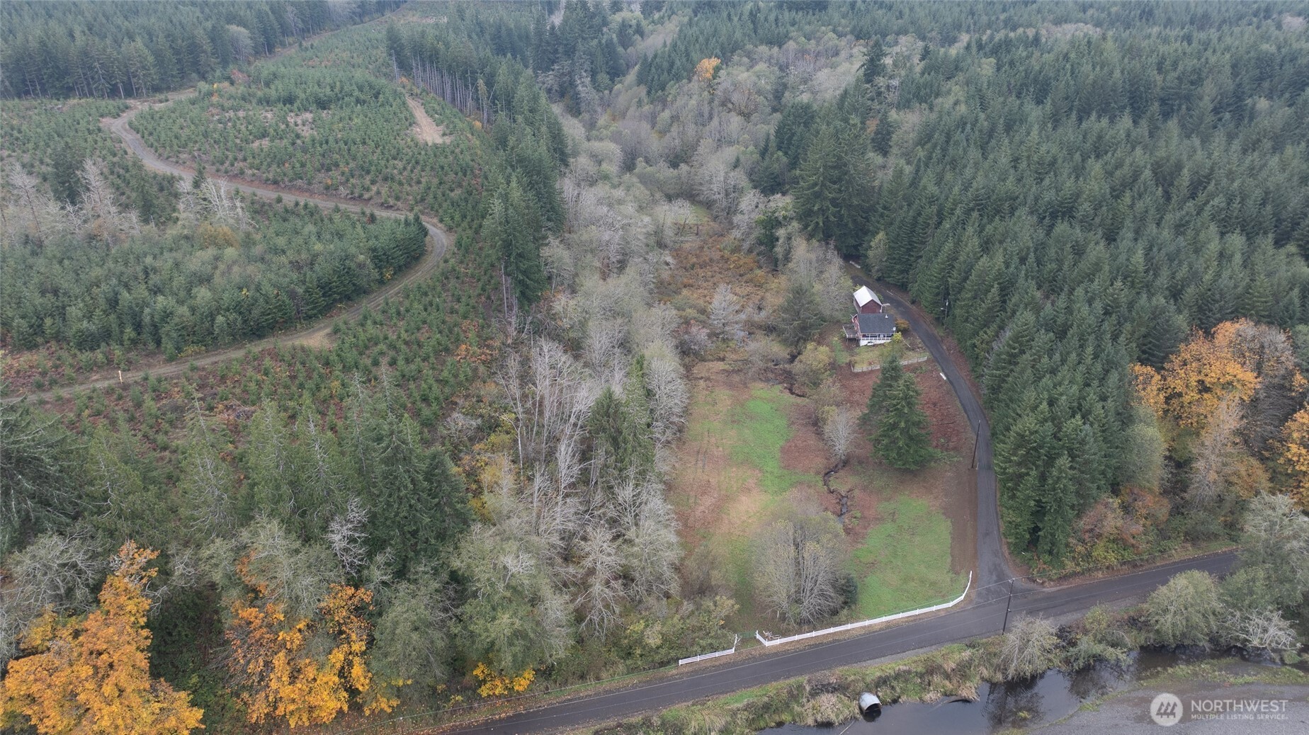 763 Geissler Road Montesano, WA 98563 - Photo 14 of 31 a view of a forest from a balcony
