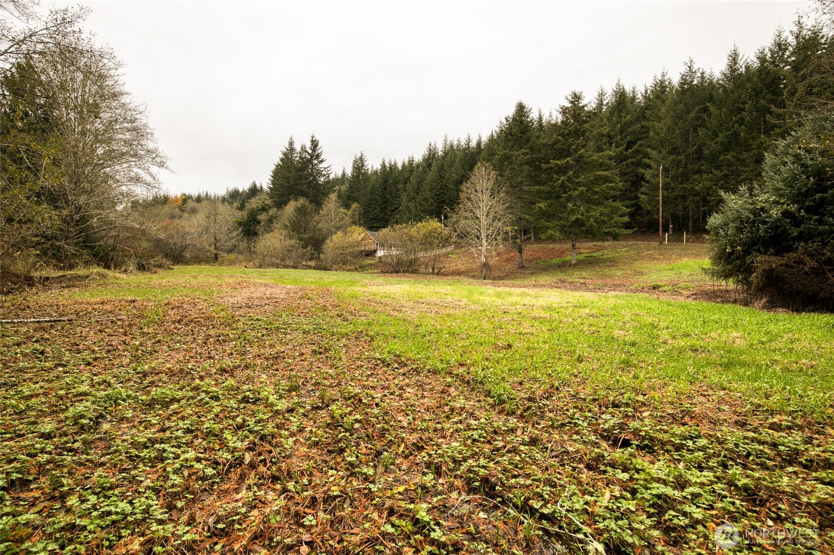 763 Geissler Road Montesano, WA 98563 - Photo 2 of 31 a view of an ocean from a yard