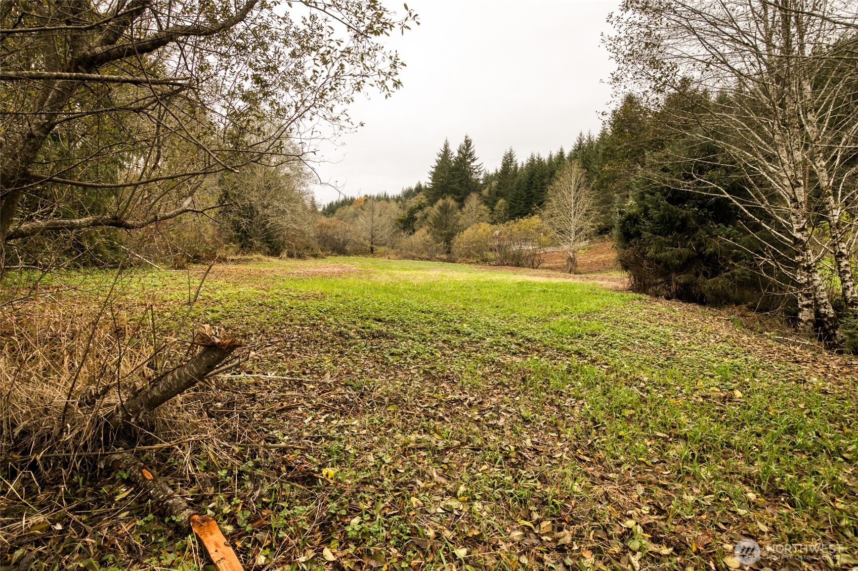 763 Geissler Road Montesano, WA 98563 - Photo 5 of 31 a view of an outdoor space and yard