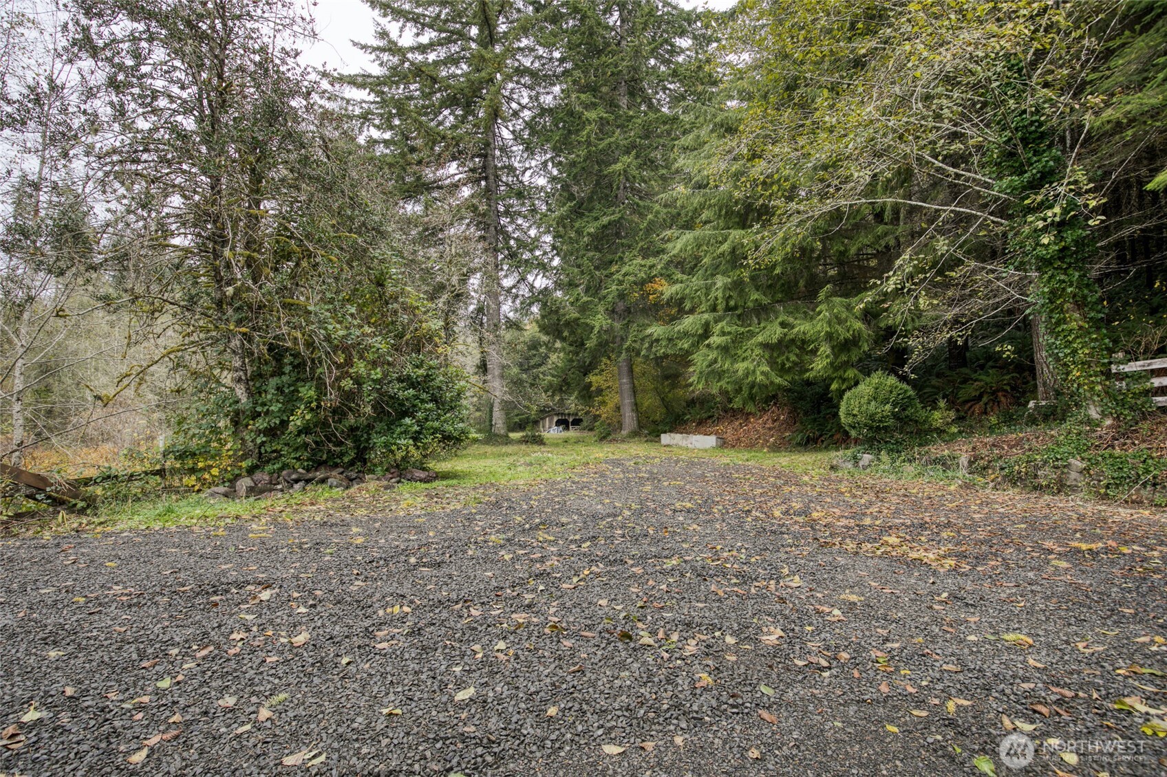 763 Geissler Road Montesano, WA 98563 - Photo 6 of 31 a view of a yard with a tree