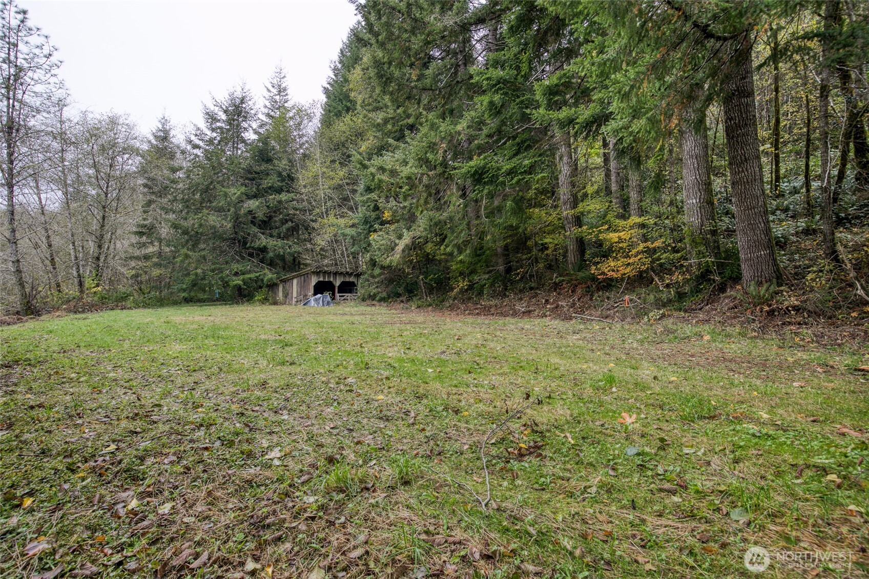 763 Geissler Road Montesano, WA 98563 - Photo 7 of 31 a view of outdoor space with trees all around