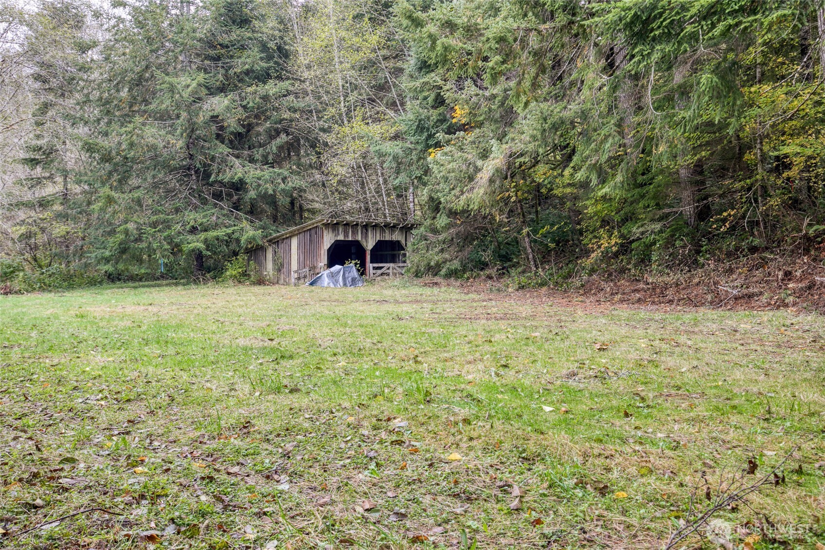 763 Geissler Road Montesano, WA 98563 - Photo 8 of 31 a view of outdoor space and yard