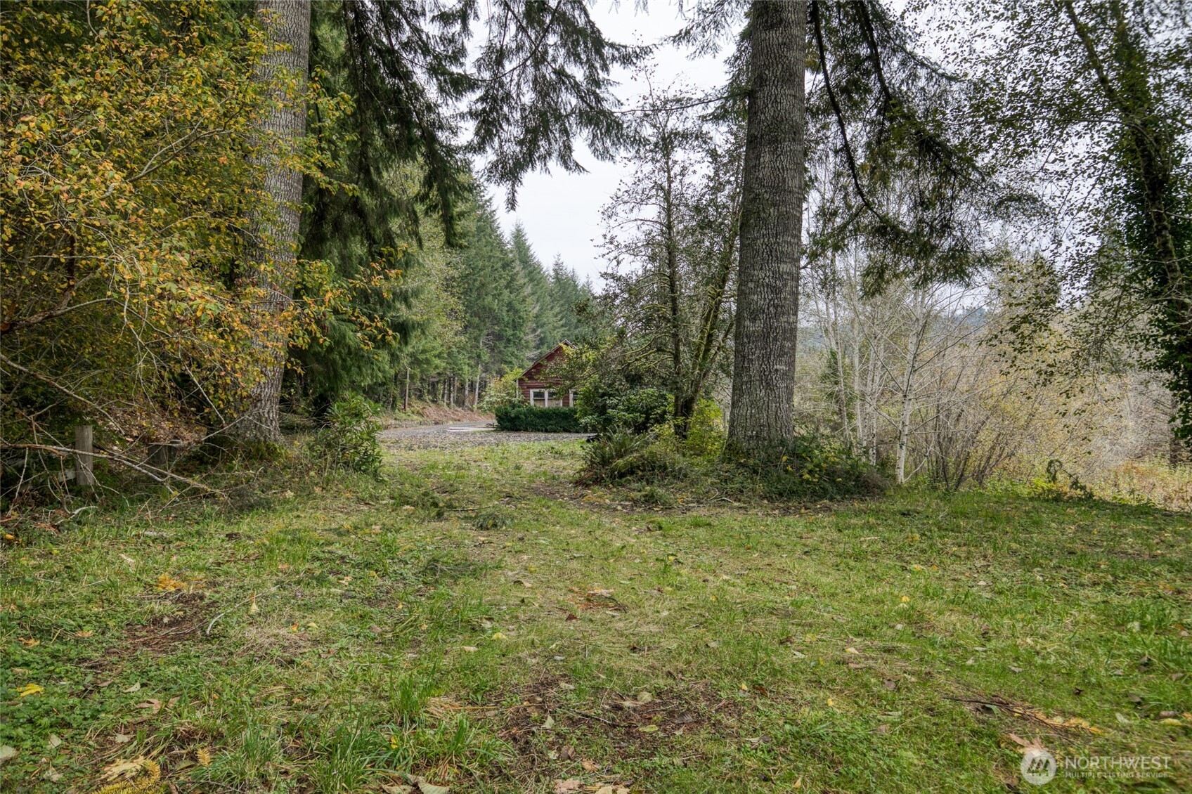 763 Geissler Road Montesano, WA 98563 - Photo 9 of 31 a big yard with lots of green space and house view