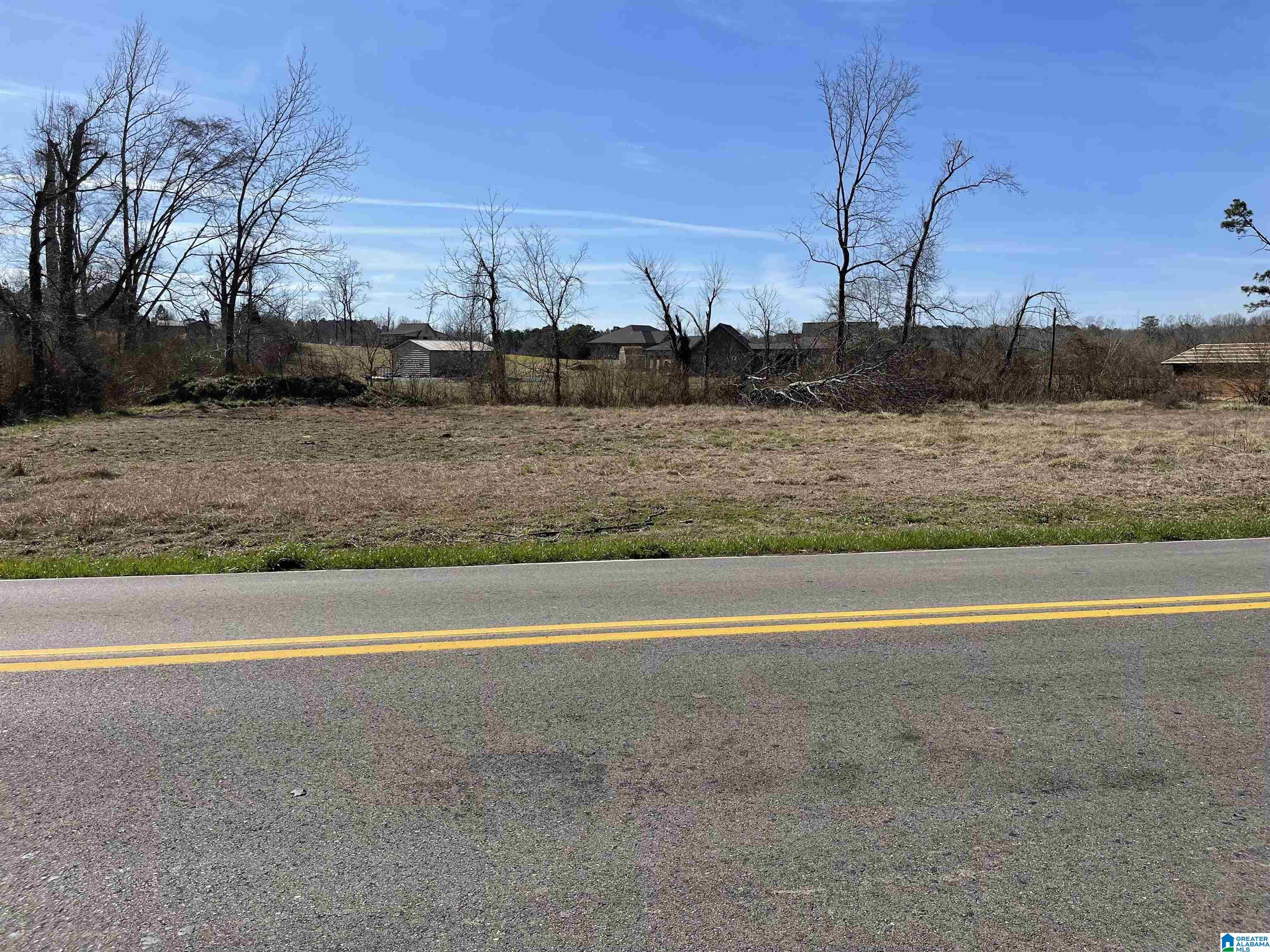 125 Mooney Road, Unit 1 & 2 Columbiana, AL 35051 - Photo 3 of 5