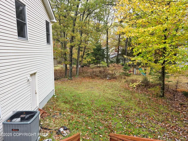 a view of a yard with plants and trees