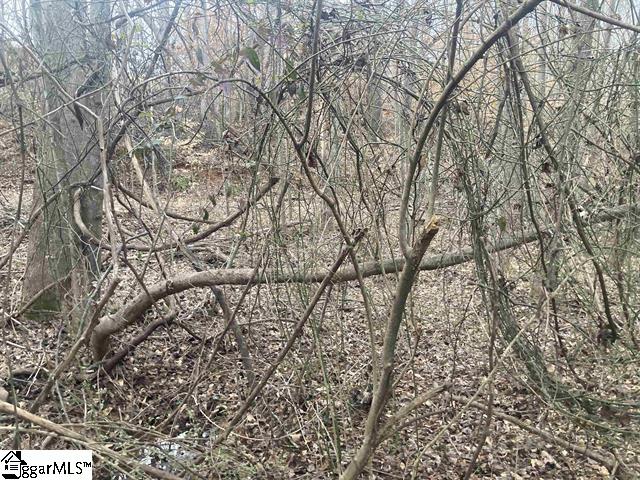 167 Rockingham Road Duncan, SC 29334 - Photo 2 of 9