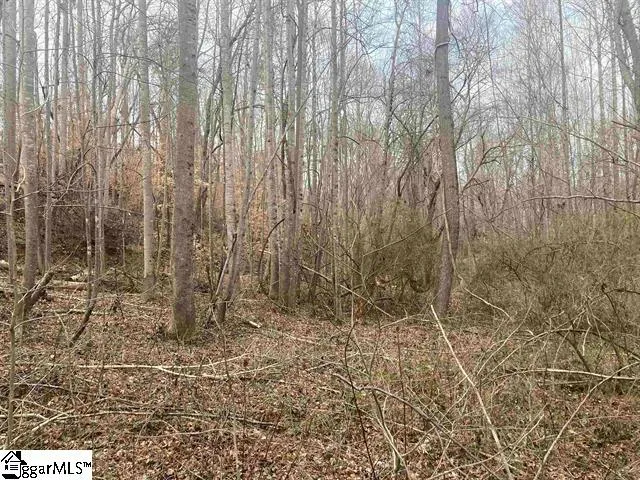 $49,979 | 167 Rockingham Road, Duncan, SC 29334