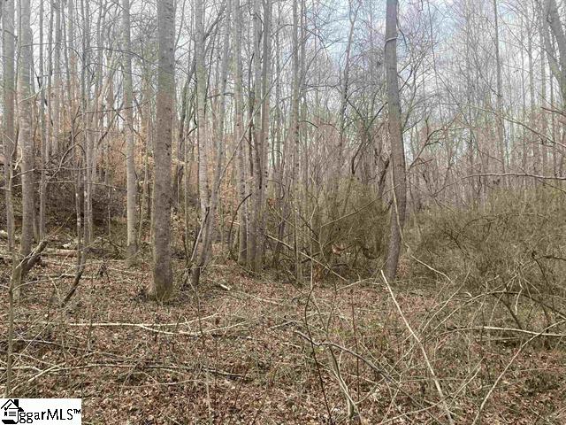 167 Rockingham Road Duncan, SC 29334 - Photo 3 of 9