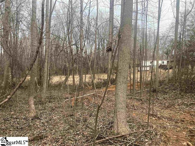 167 Rockingham Road Duncan, SC 29334 - Photo 4 of 9