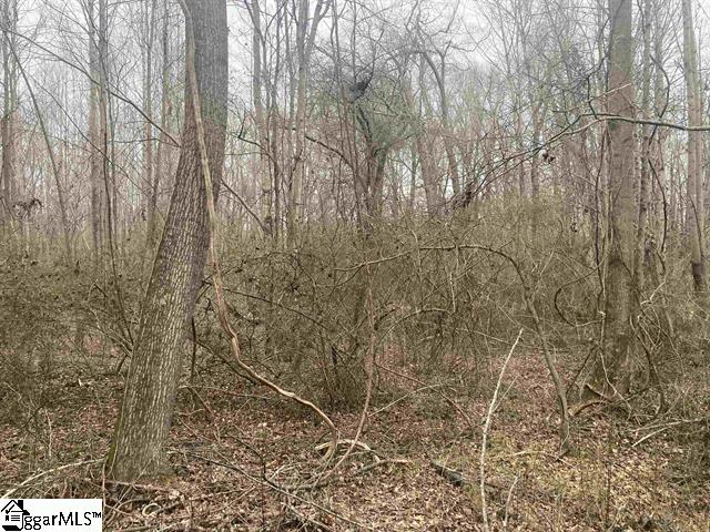 167 Rockingham Road Duncan, SC 29334 - Photo 5 of 9