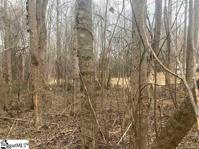 $49,979 | 167 Rockingham Road, Duncan, SC 29334