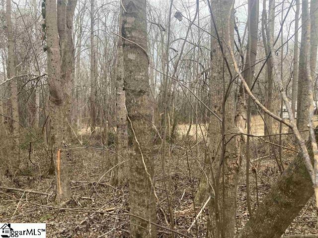 167 Rockingham Road Duncan, SC 29334 - Photo 6 of 9