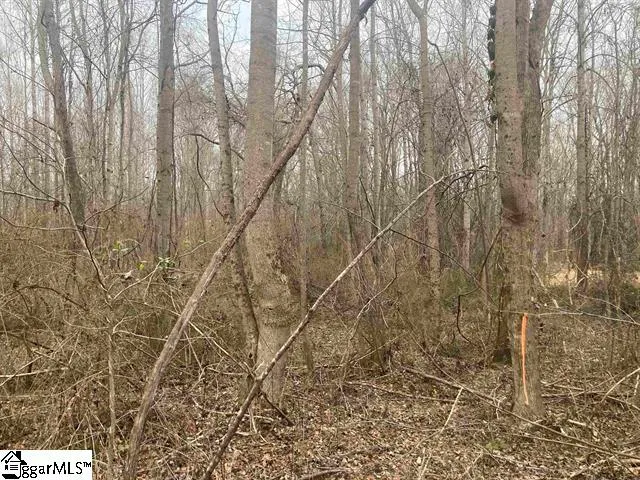 $49,979 | 167 Rockingham Road, Duncan, SC 29334