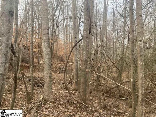 $49,979 | 167 Rockingham Road, Duncan, SC 29334