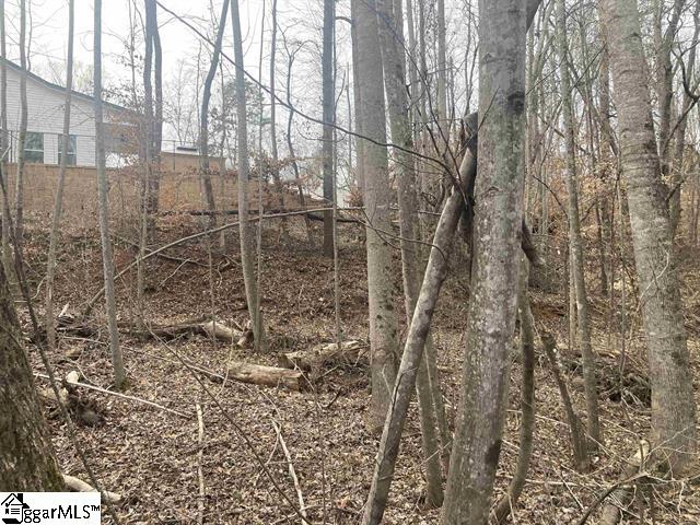 167 Rockingham Road Duncan, SC 29334 - Photo 9 of 9