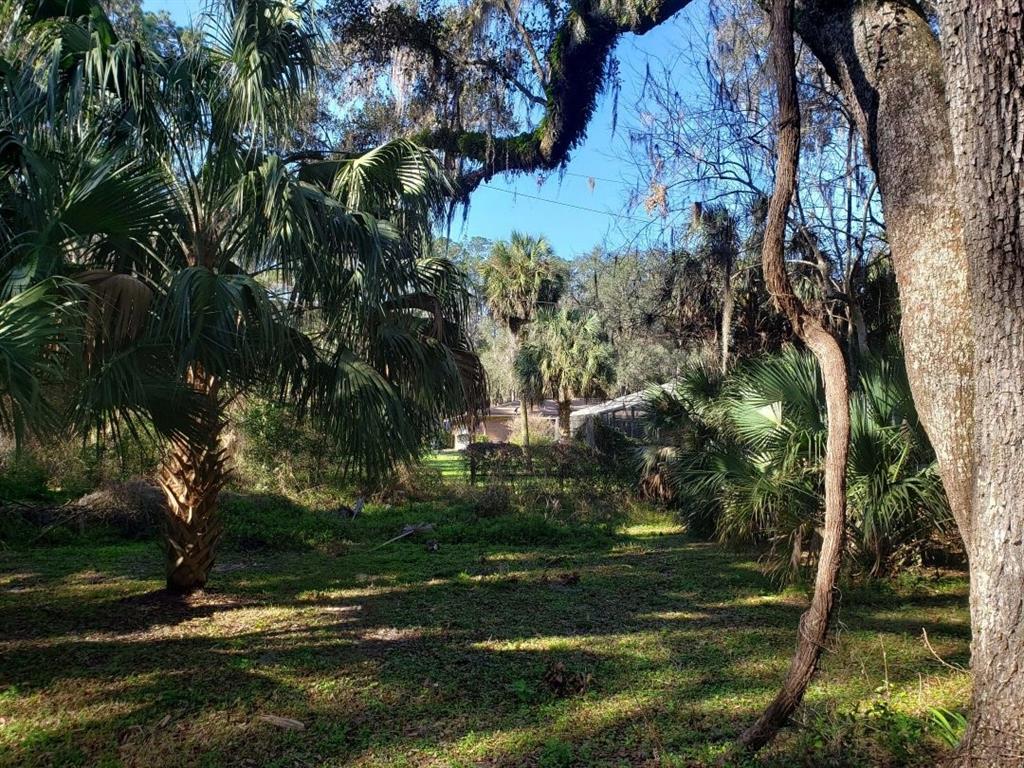 2929 Southwest 2 Court Gainesville, FL 32601 - Photo 4 of 8