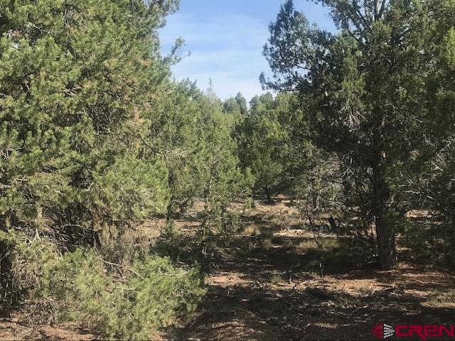 1080 Green Shadows Road Durango, CO 81303 - Photo 1 of 15 Gallery Image 1