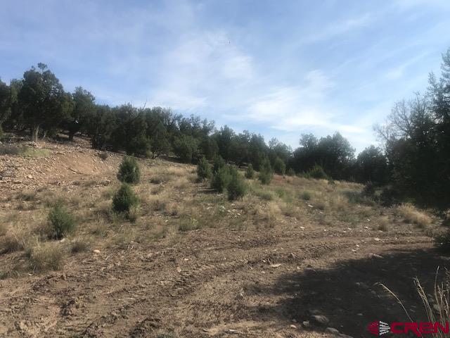 1080 Green Shadows Road Durango, CO 81303 - Photo 11 of 15 Gallery Image 11