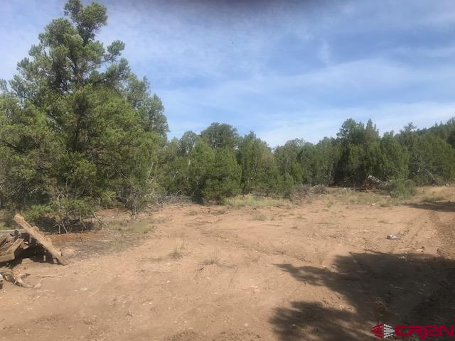 1080 Green Shadows Road Durango, CO 81303 - Photo 12 of 15 Gallery Image 12