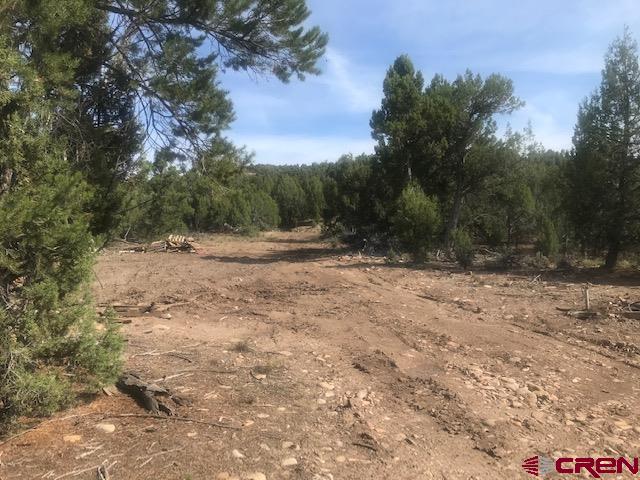 1080 Green Shadows Road Durango, CO 81303 - Photo 14 of 15 Gallery Image 14