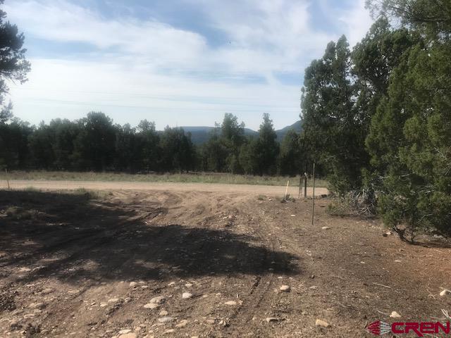 1080 Green Shadows Road Durango, CO 81303 - Photo 15 of 15 Gallery Image 15