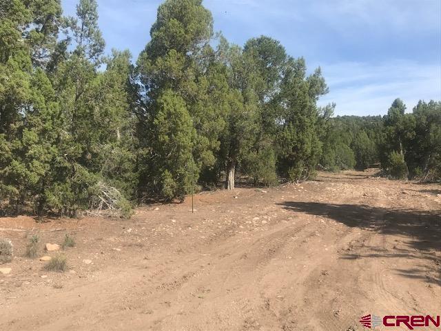 1080 Green Shadows Road Durango, CO 81303 - Photo 2 of 15 Gallery Image 2