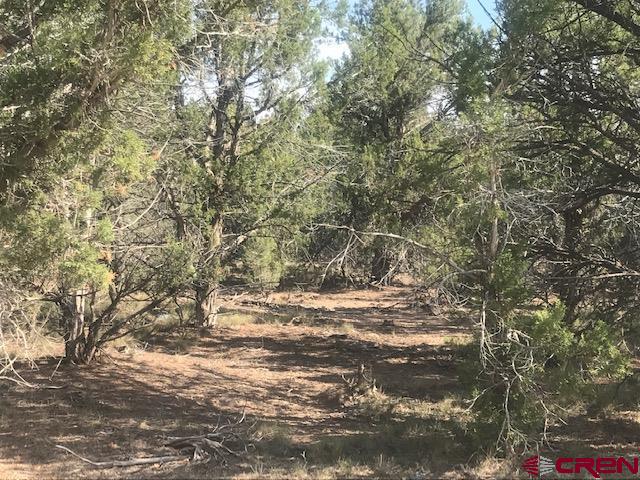 1080 Green Shadows Road Durango, CO 81303 - Photo 4 of 15 Gallery Image 4
