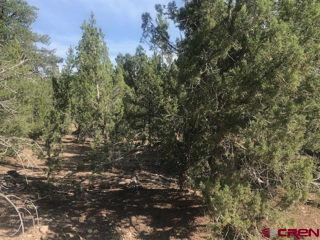 1080 Green Shadows Road Durango, CO 81303 - Photo 5 of 15 Gallery Image 5