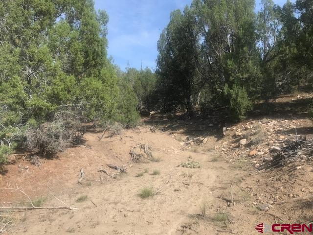 1080 Green Shadows Road Durango, CO 81303 - Photo 10 of 15 Gallery Image 10
