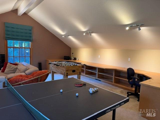16875 Coleman Valley Road Occidental, CA 95465 - Photo 51 of 78
