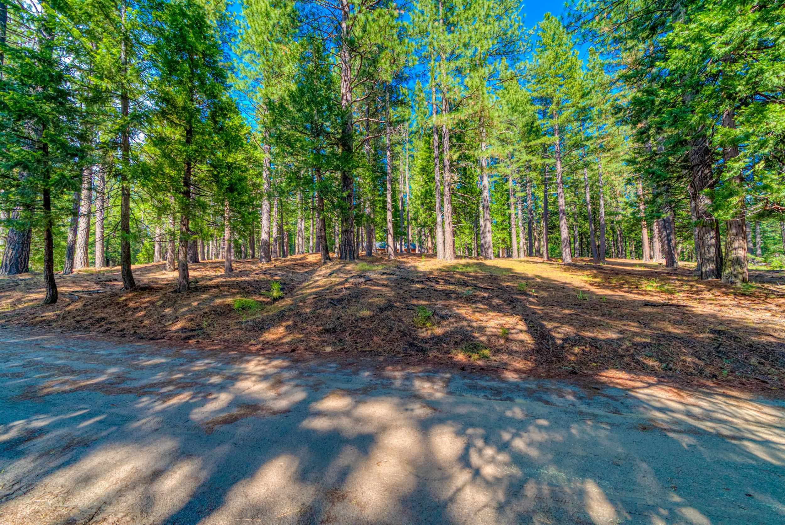 954 Red Fox Road Clio, CA 96106 - Photo 19 of 22