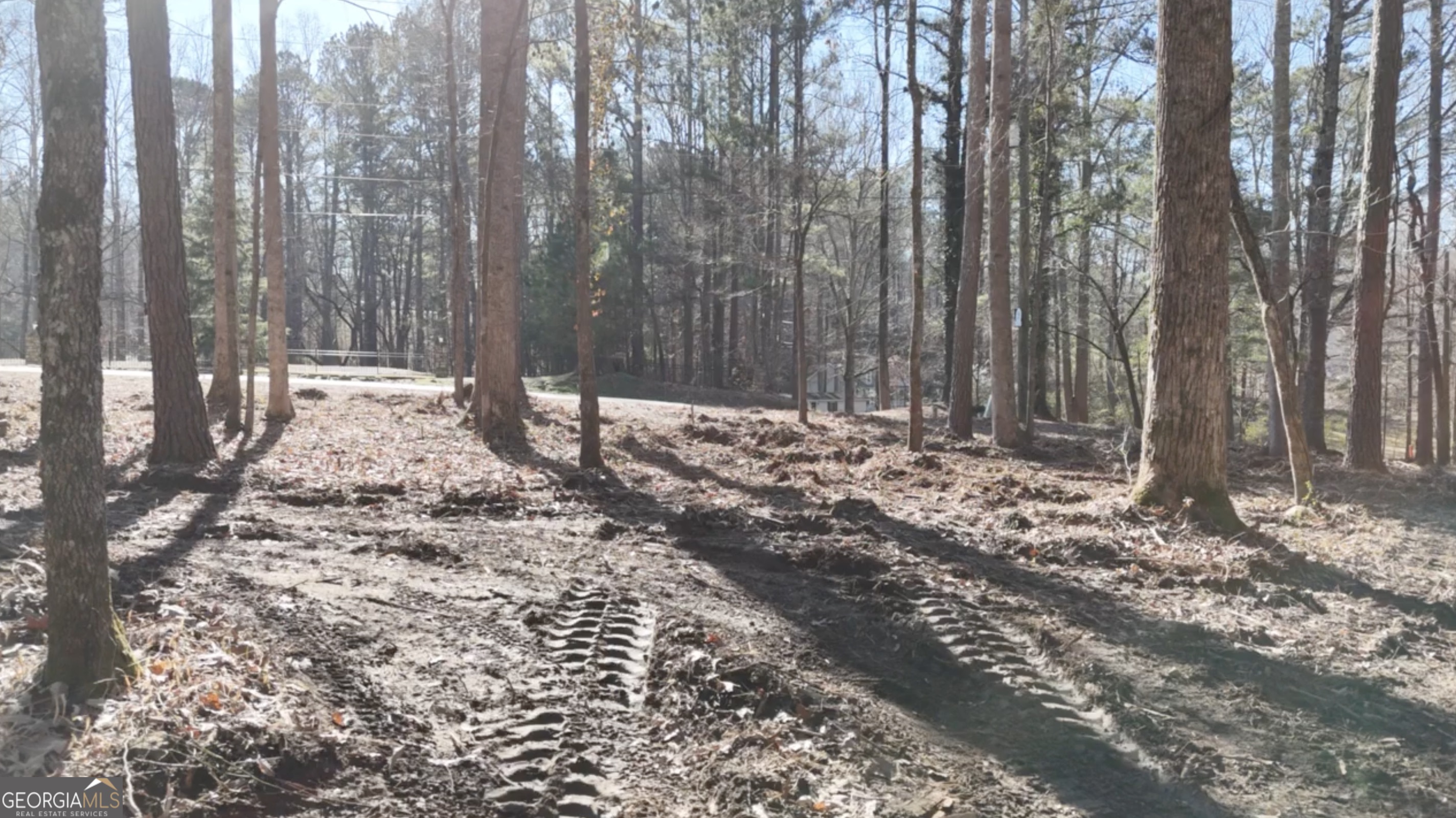 6137 Little Ridge Road, Unit LOT #3 Acworth, GA 30102 - Photo 16 of 39 a view of a yard with trees