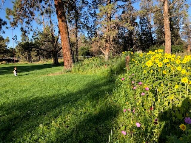 22810 Nelson Road Bend, OR 97701 - Photo 23 of 43 a view of backyard with green space