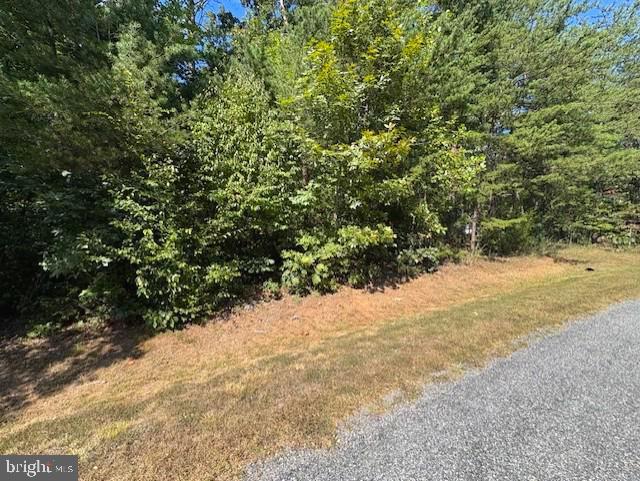 Lot 76 Centerville Road Mineral, VA 23117 - Photo 3 of 16 Gallery Image 3