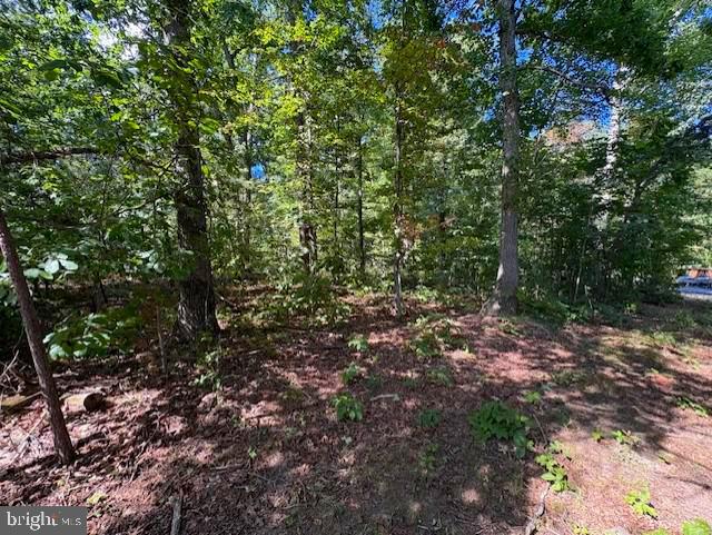 Lot 76 Centerville Road Mineral, VA 23117 - Photo 4 of 16 Gallery Image 4