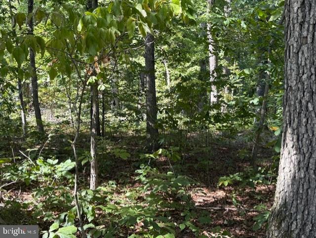Lot 76 Centerville Road Mineral, VA 23117 - Photo 5 of 16 Gallery Image 5