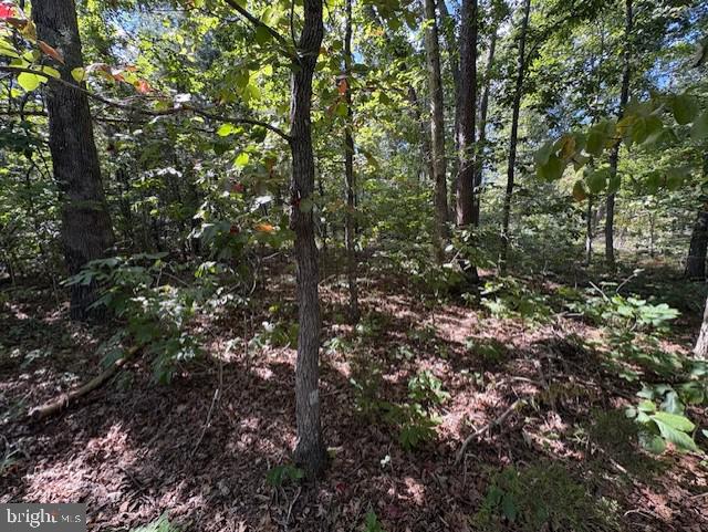 Lot 76 Centerville Road Mineral, VA 23117 - Photo 6 of 16 Gallery Image 6