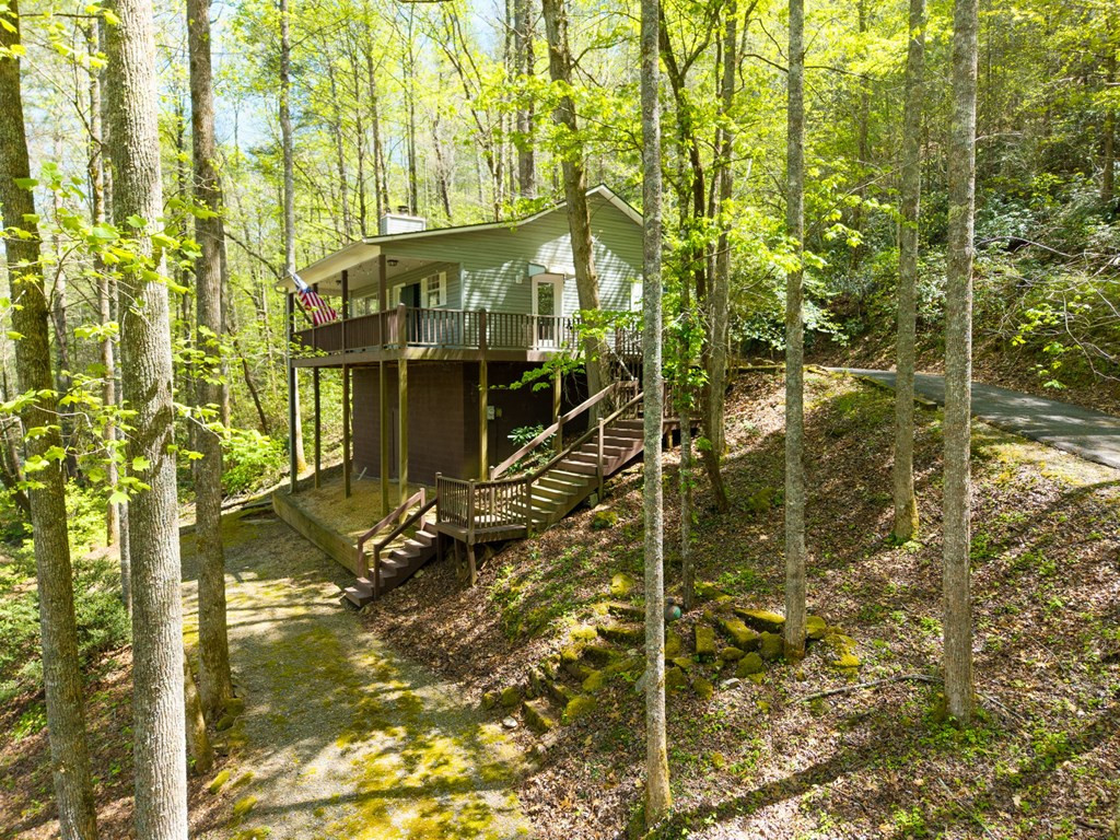 377 Ed Graves Road Murphy, NC 28906 - Photo 5 of 37