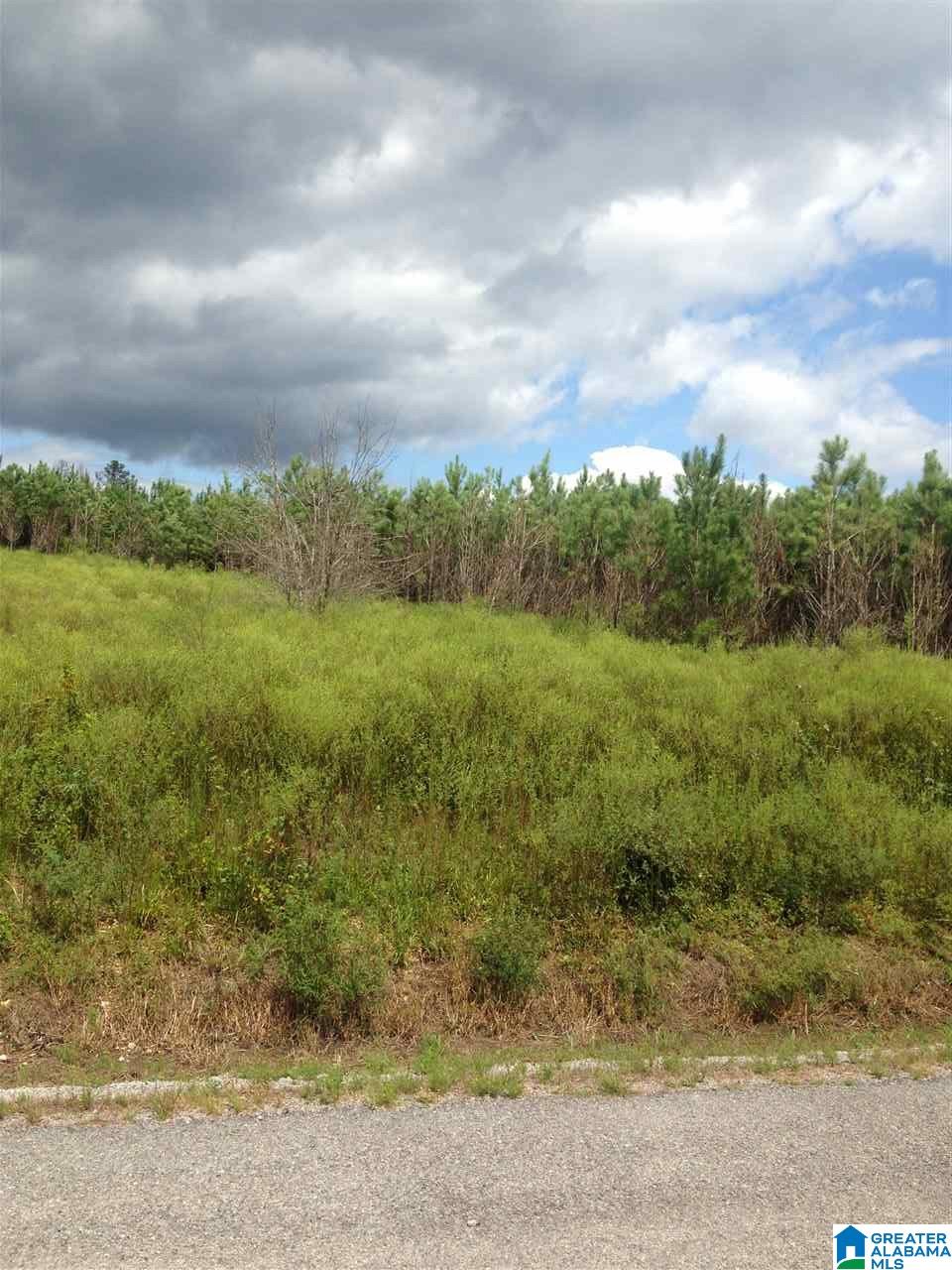 1033 Crossover Road, Unit 18 ACRES Cropwell, AL 35054 - Photo 4 of 10